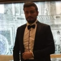 Berk Şahin