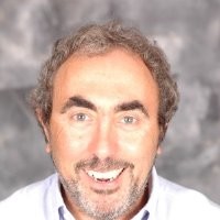 david baccarini