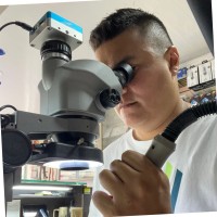 Cristian fernando Moreno sanchez