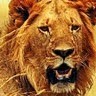 Baluprakash Chintha