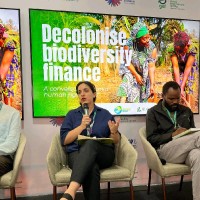 Amelia Arreguín Prado