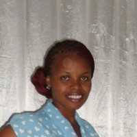 zinnia zimba