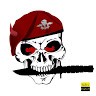 Para Commando