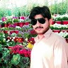 Z Ali