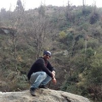 Ashish Worlikar