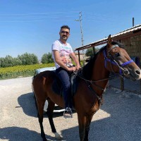 Tolga Halici