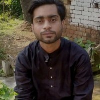 Mohammad Hoque