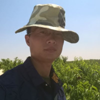 陈宏波