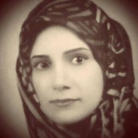 M Alipour