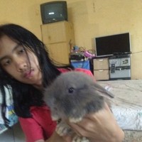 Hendrawan Taman