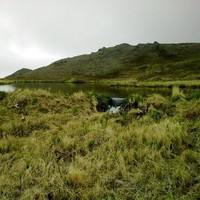 Panai Nevak