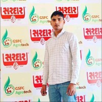 Sonu Saini Khad Beej ( Mahwa Dausa Rajasthan )