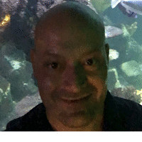 david comandini