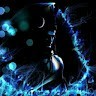Dj Alok