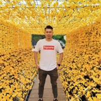 Nelson Yong