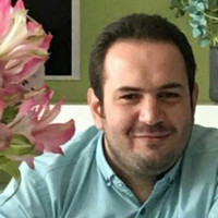 hamidreza afshordi