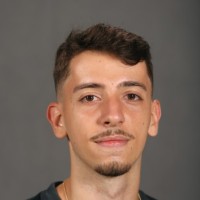 Luis Milan