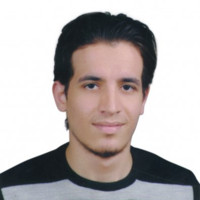 Raed Abdeltewab