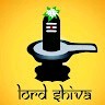 Amit Bhadouria