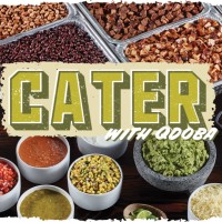 Qdoba Catering Michigan