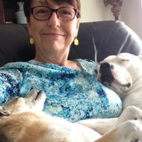 Cathy Corbett Dash