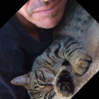 Niklas Spitz