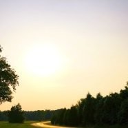 Dawn Appert