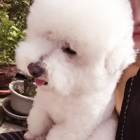 姚天宇