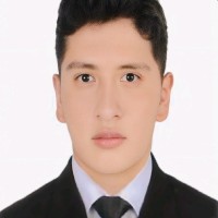 Victor Hugo Alfaro Linares