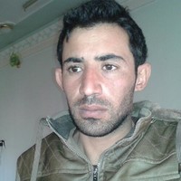 nader ali
