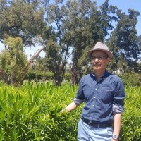 Moulay Ali EL OUALIDI