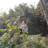 丁建辉