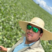 Antonio Henrique Cordeiro