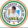 Y N Babu Nsui