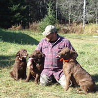 Rob Brownson