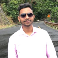 Vignesh Palanichamy