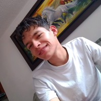Juan Camilo Torres Vargas