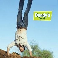 Adam Dandy