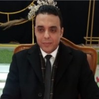 Ahmed Wafa