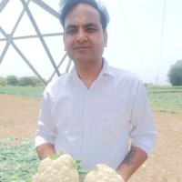 Pawan Kumar Vyas