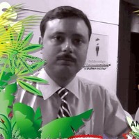ansuman ray chaudhuri