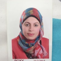 Sara Abdelghany