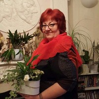 Ausra Vilkauskaite