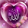 Tanvir mohammad