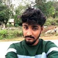 Saran Sankar