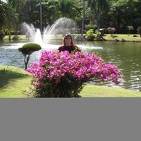 Virene Luthi
