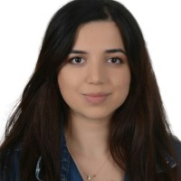 Belgin Aydemir