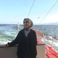 Nuray D