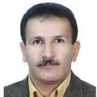 Mohammad Hossein Gheitassy