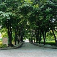 梁鼎中